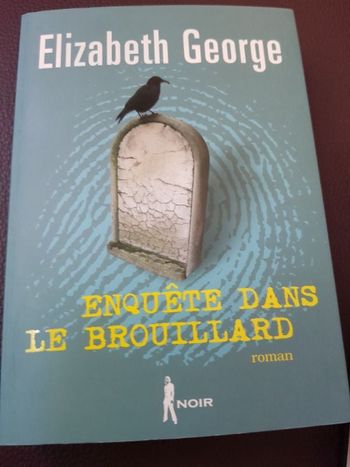 Enquête dans le brouillard