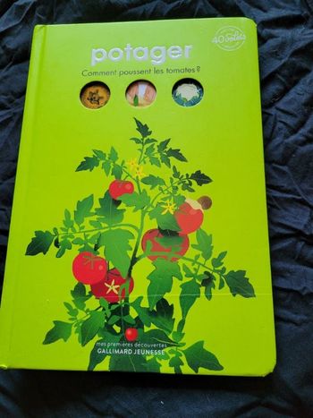 Potager comment poussent les tomates ?