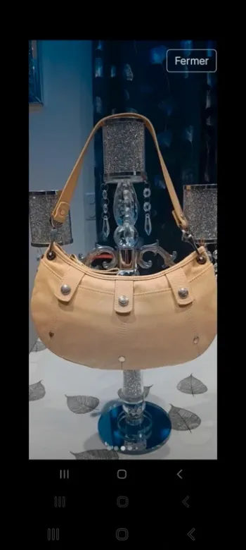 Sac porte épaule longchamp beige 15x29x2 tt est visible sur les photos