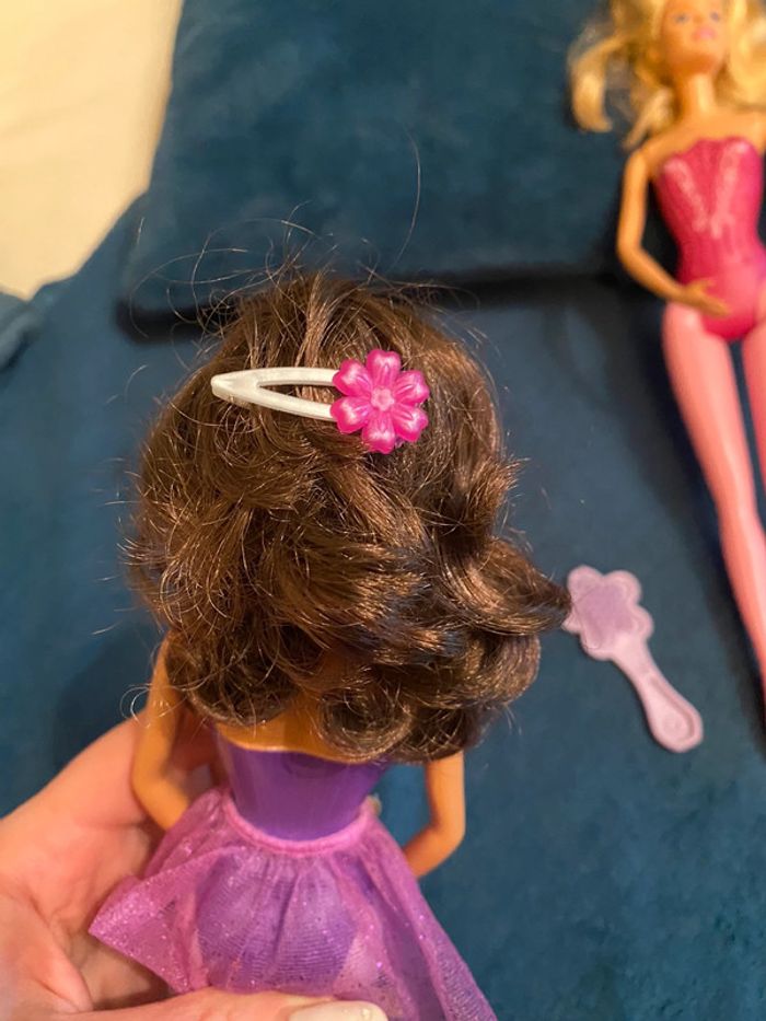 Barbies - photo numéro 4