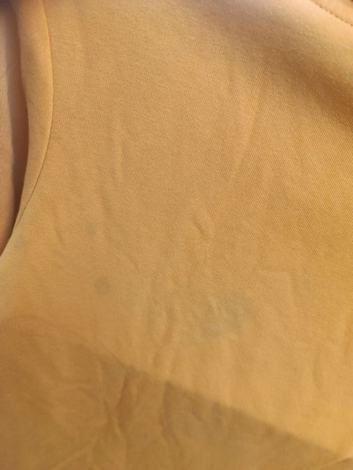 Pull champion 11/12 ans - photo numéro 5