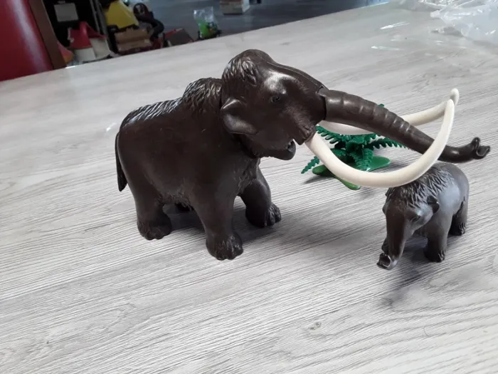 Mammouth et son petit - photo numéro 2
