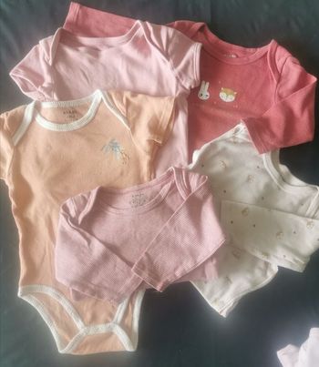 Lot 5 bodies 12 mois