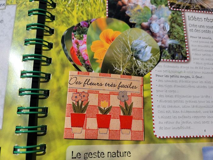 Le Carnet Jardinier, animé, Astuces et Petits secrets à cultiver 🪷 (35) - photo numéro 19
