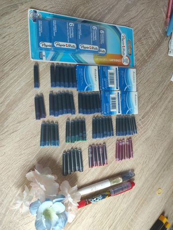 Lot de 117 cartouches d’encre + 2 stylos plumes offerts