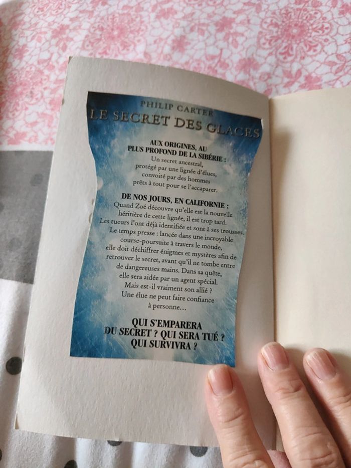 Le secret des glaces - photo numéro 4