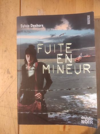 Fuite en mineur Sylvie Deshors Rouergue 2010
