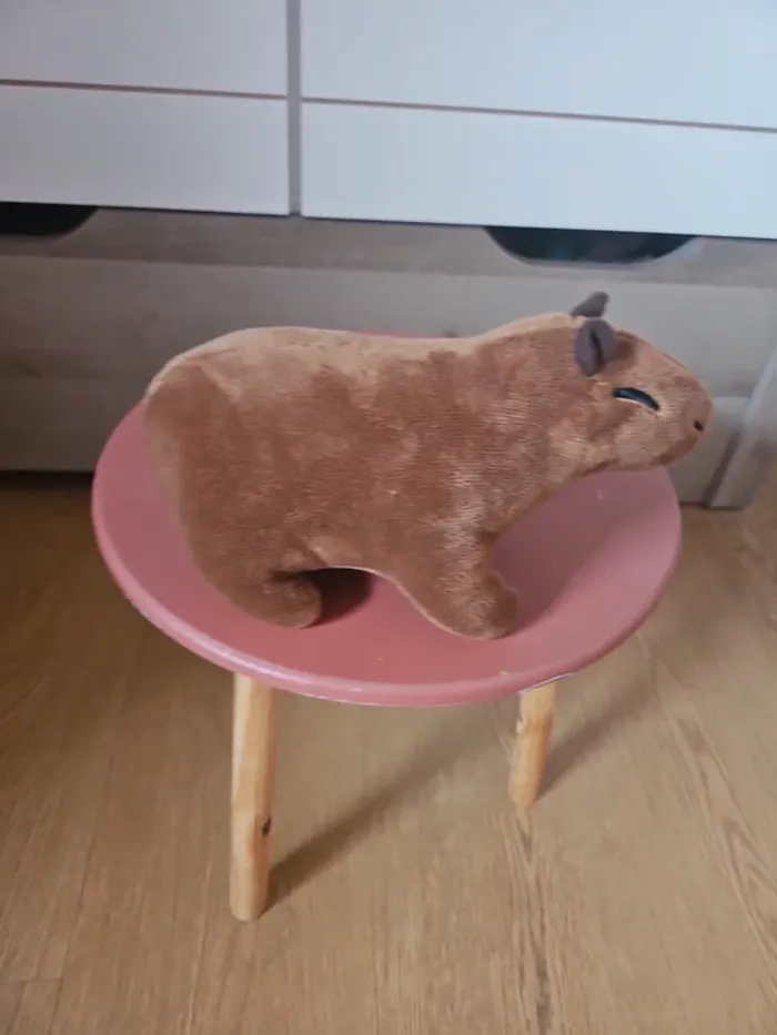 Peluche Capybara - photo numéro 2