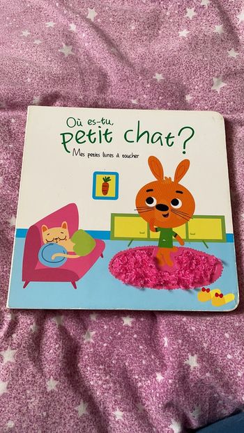 Où es-tu petit chat?
