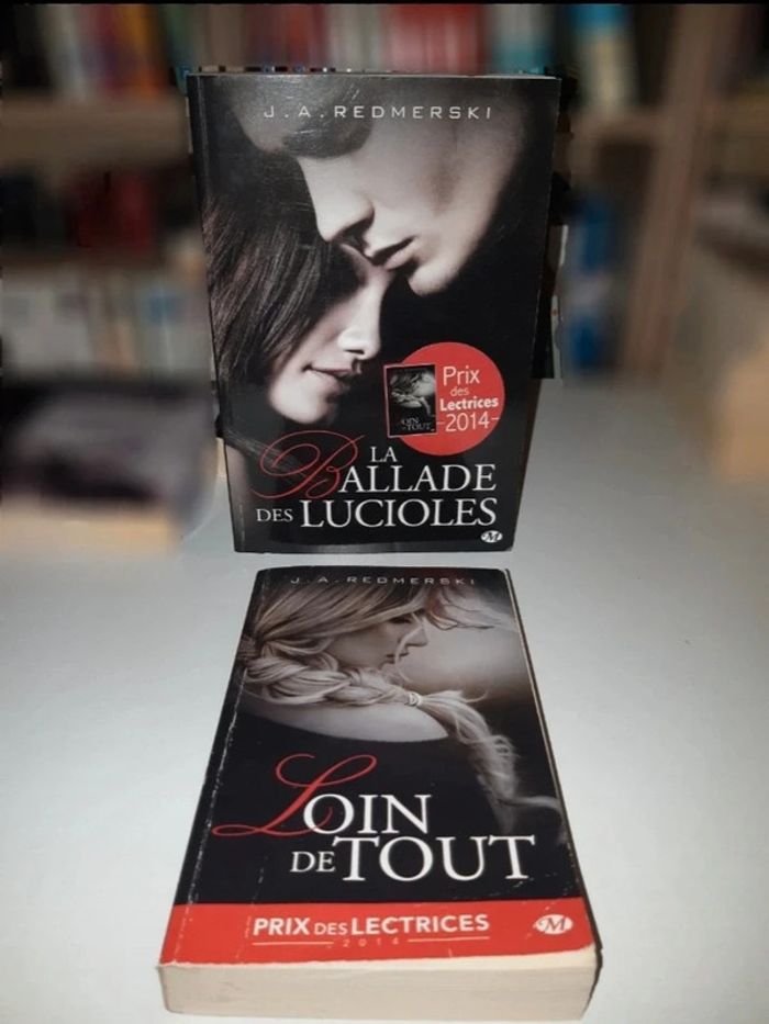 Livre de J.A. Redmerski new romance