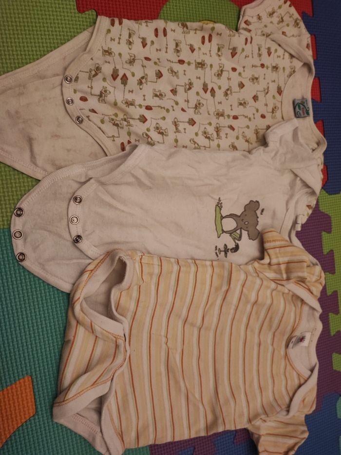 lot bodies