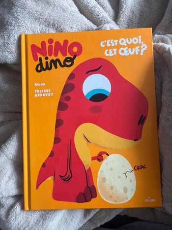 Livre enfant Nino Dino