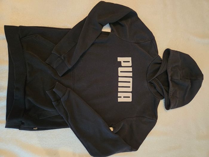 Pull puma