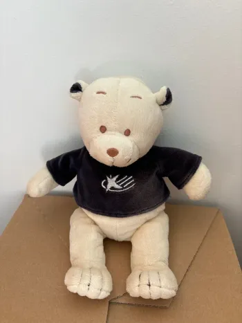 Ourson en peluche