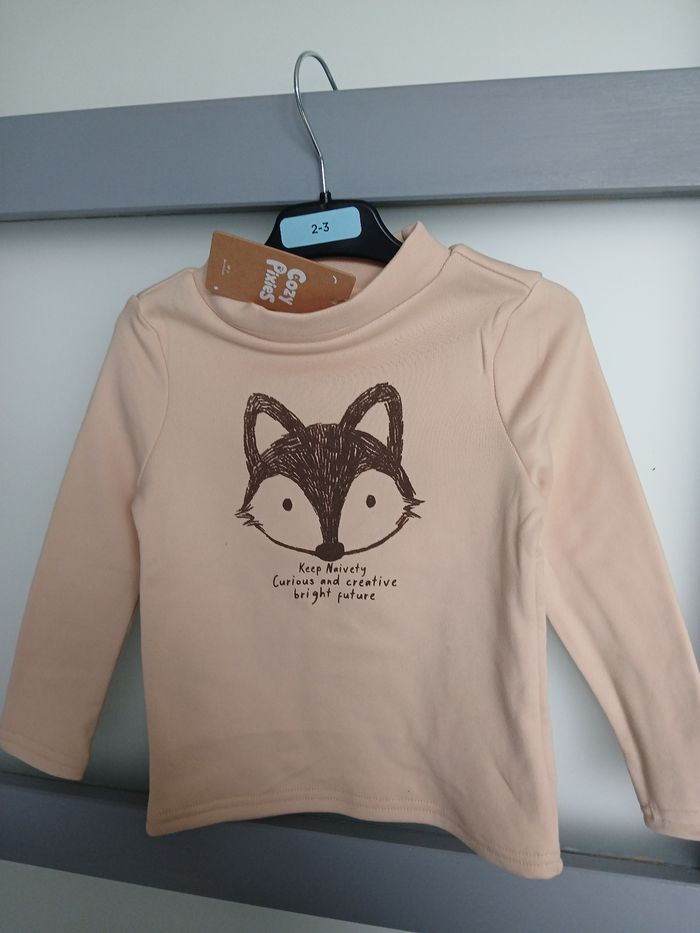Pull 2-3 ans