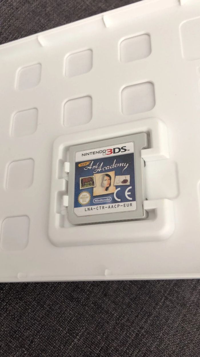 Jeu ds « art academy » - photo numéro 4