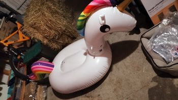Grand licorne bouee