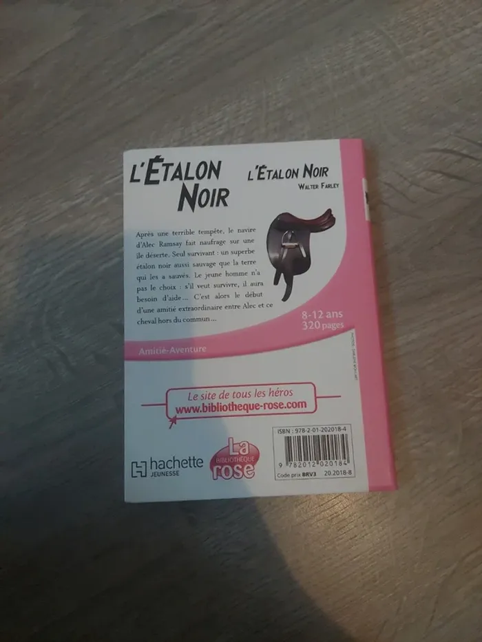 L'Etalon Noir - photo numéro 2