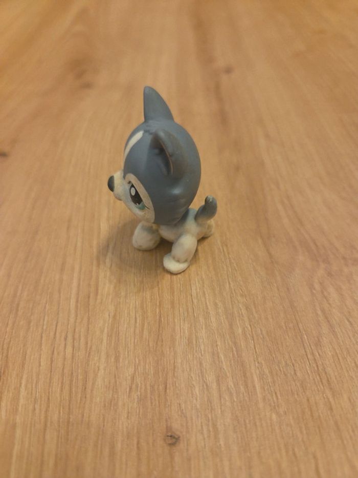 Pet shop - photo numéro 2