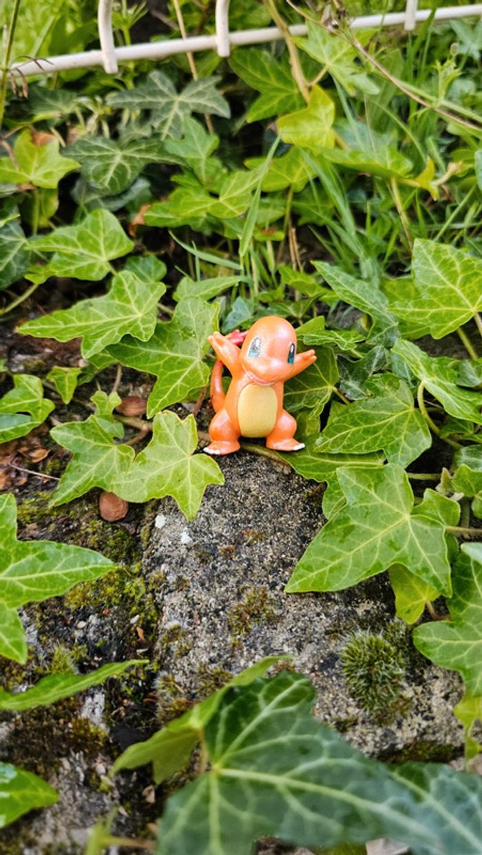 Super figurine Pokemon Nintendo Salameche effet brillant - photo numéro 2