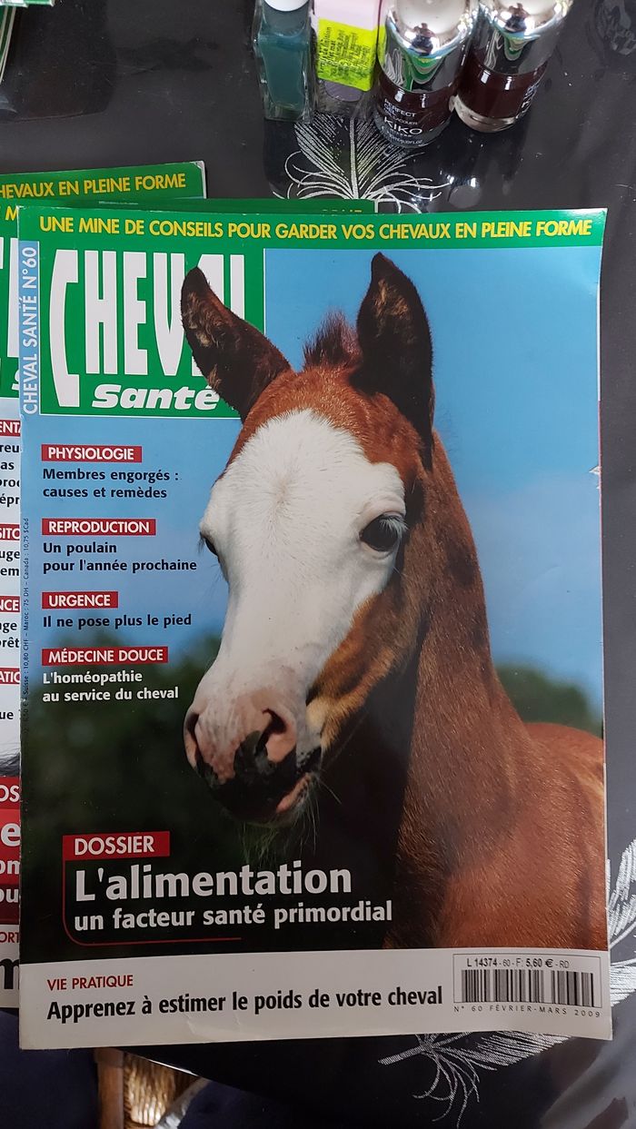 Lot Cheval santé - photo numéro 3