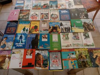 Lot de 40 livres divers (5)