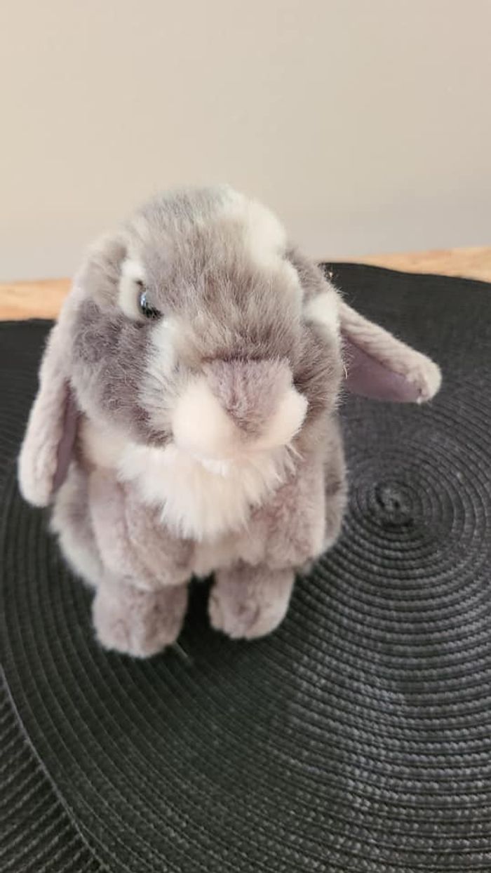 Lapin gris assis Living Nature - photo numéro 4