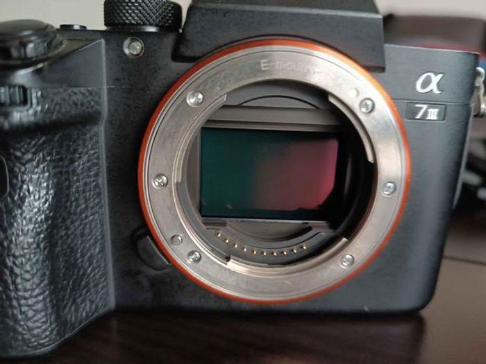 Sony alpha 7iii UNIQUEMENT. - photo numéro 3