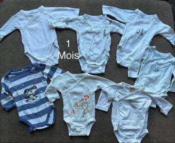 Lot bodies 1 mois animaux