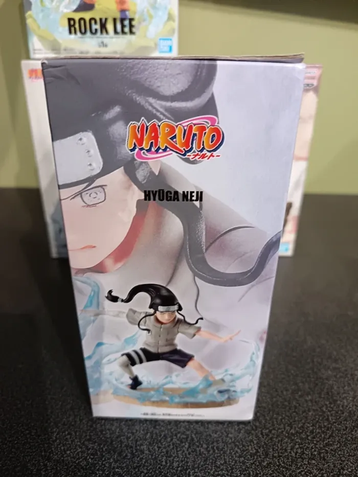 Naruto Mémorable saga Neji Hyuga - photo numéro 3