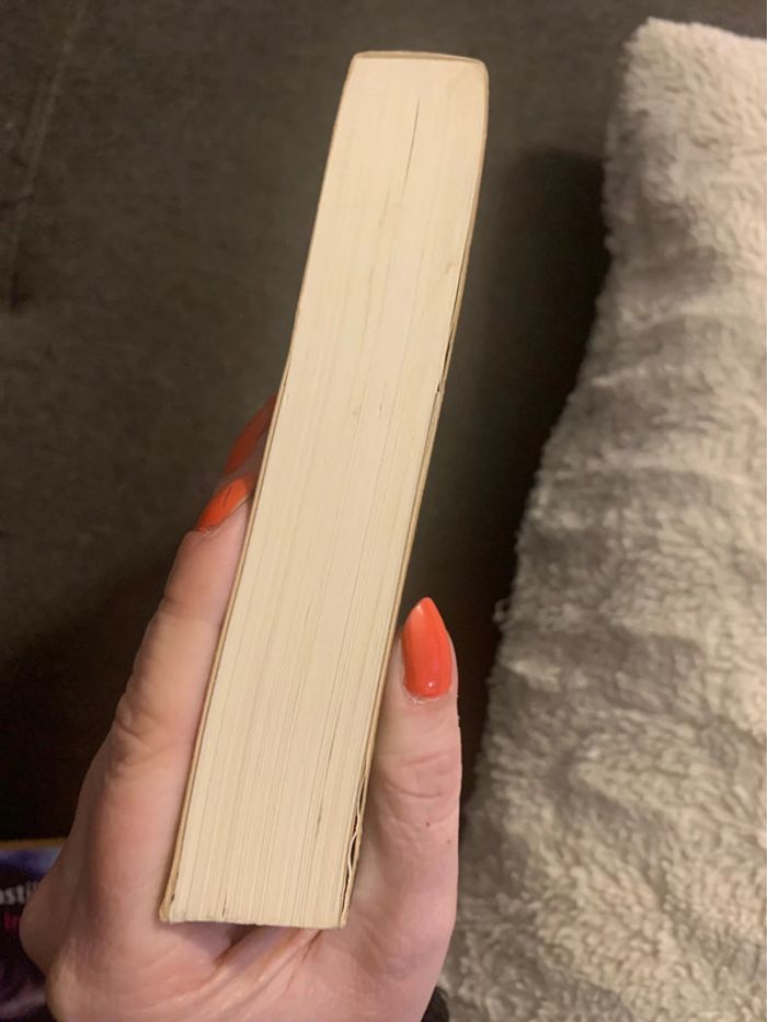 Livre jeux de dupes Nicci French - photo numéro 3