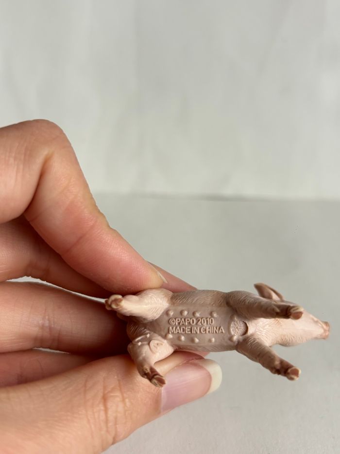 Porcelet papo - photo numéro 4