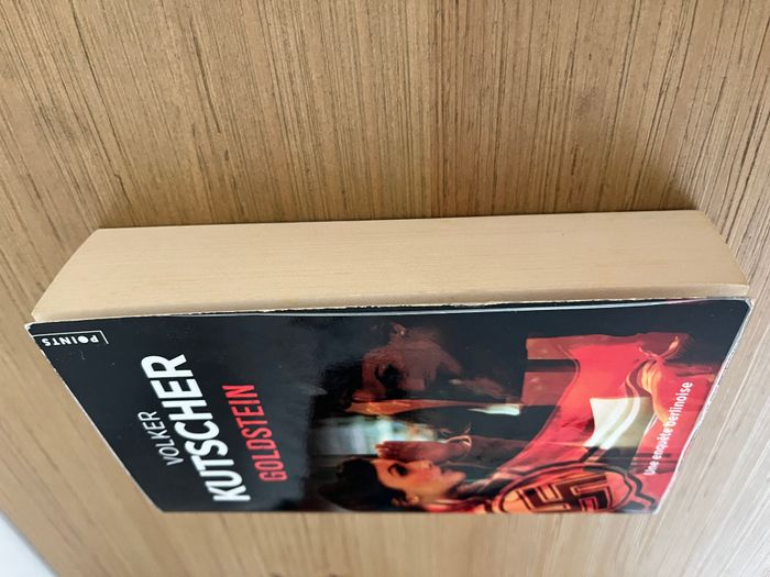 Goldstein - Volker Kutscher - photo numéro 2