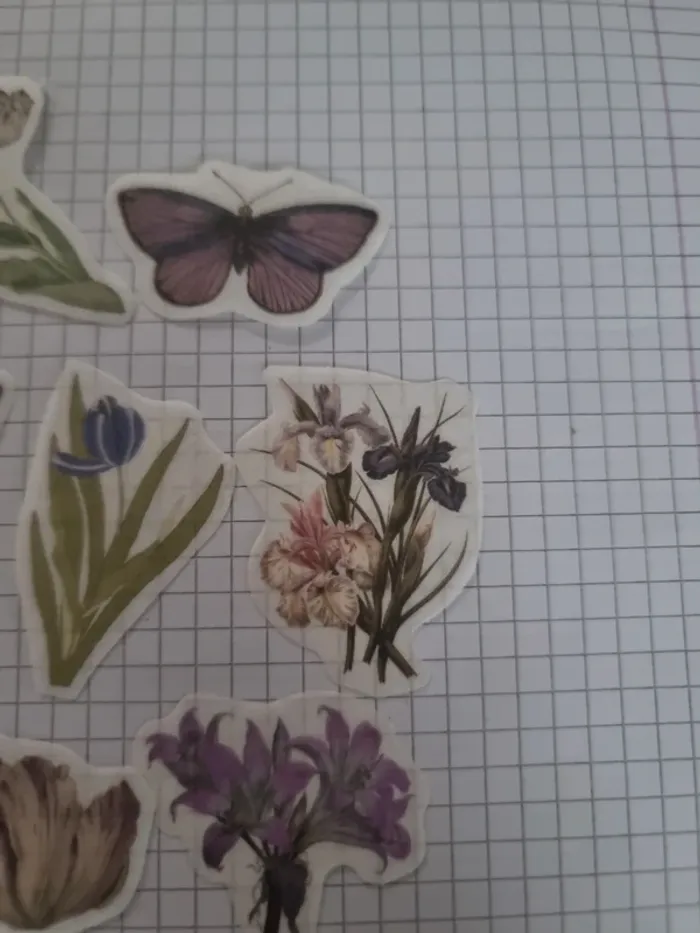 Lot stickers fleuri papier (lot B) - photo numéro 9