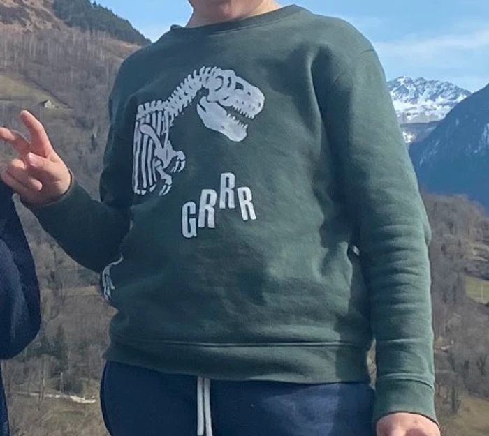Pull vert motif dinosaure 🦖 - 12 ans