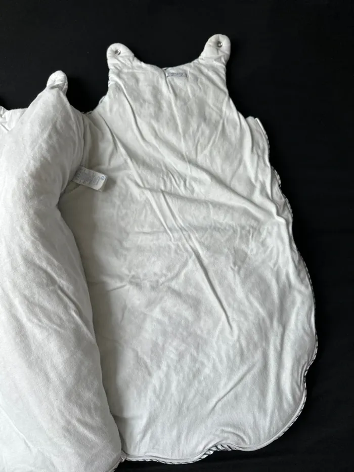 Gigoteuse obaibi - photo numéro 3