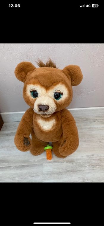 Ours cubby très bon état