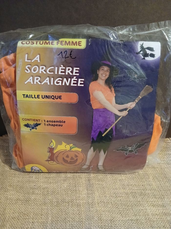 Déguisement la sorcière araignée