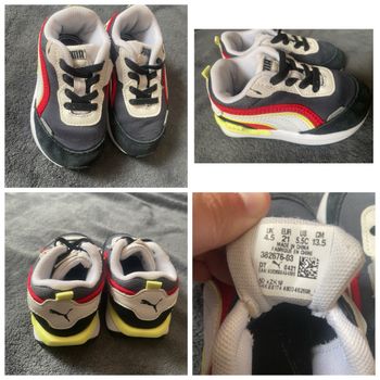 Basket puma