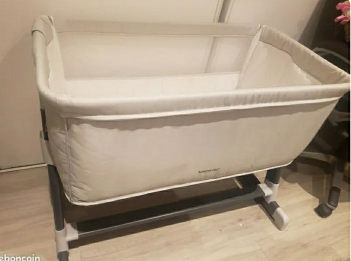 Cododo Aubert (Pas d'envoi, remise en main propre, Toulouse 31200) - photo numéro 2