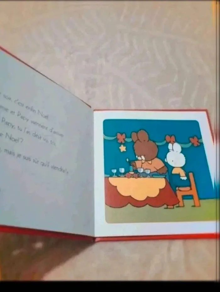 Livre  petit lapin  blanc - photo numéro 2