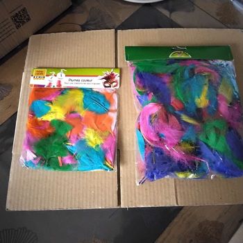 Lot de 2 paquets plumes couleurs XICA