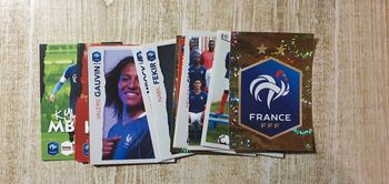 Stickers panini intermarché au plus prêt des bleus