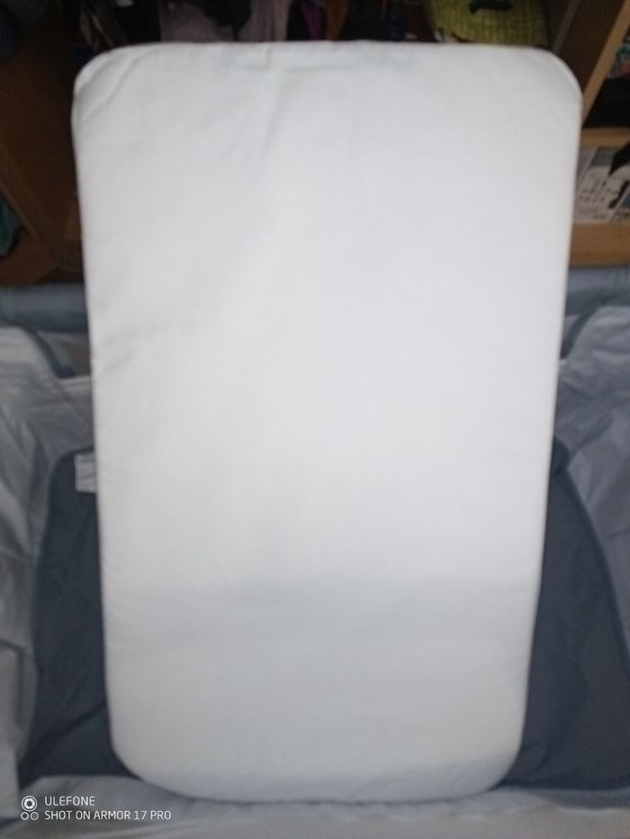 Cododo chicco - photo numéro 6