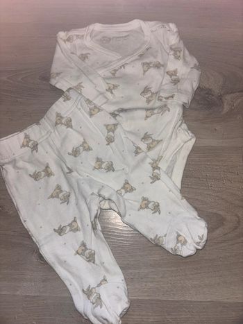 Ensemble Panpan