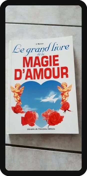 Le grand livre de la magie d'amour état neuf