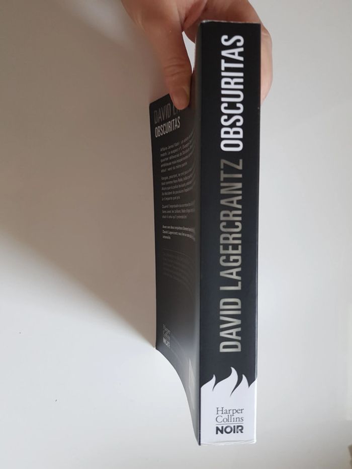 David Lagercrantz (Auteur) Obscuritas une enquête de Rekke & Vargas - photo numéro 5