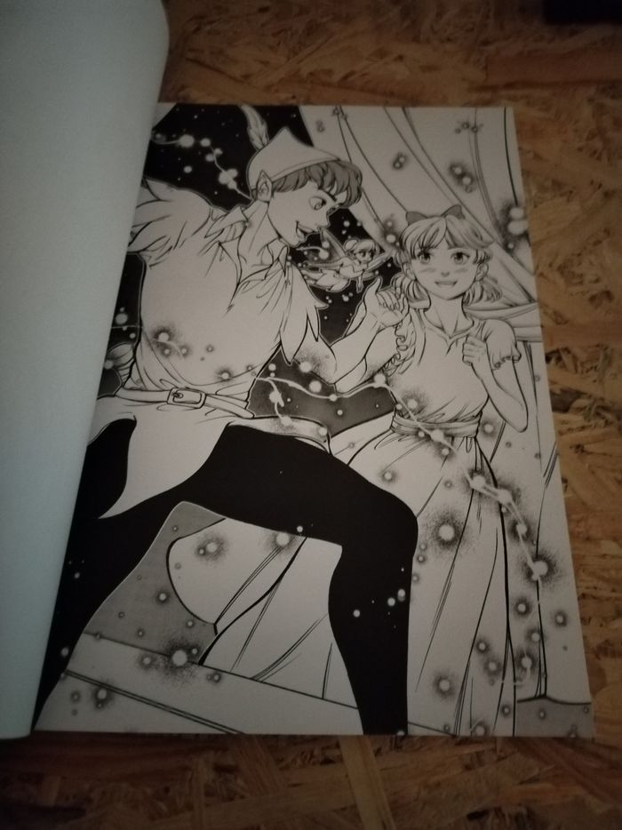 Livre de coloriage - photo numéro 2