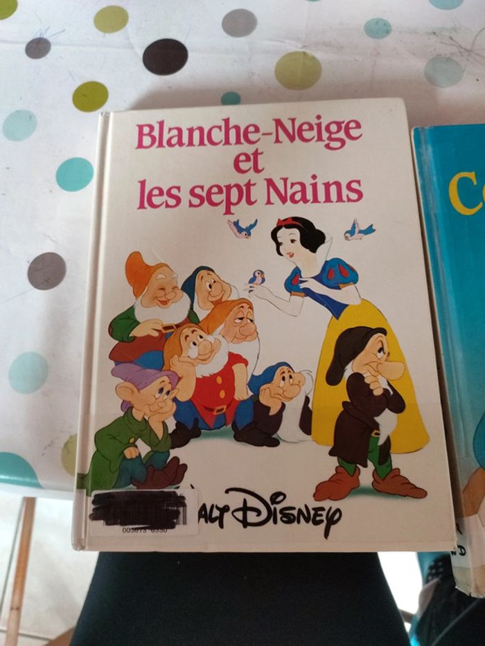 Cendrillon et Blanche-Neige de Walt Disney - photo numéro 2
