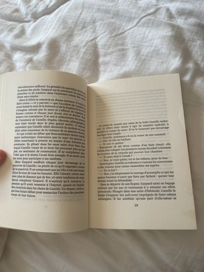 Le Zèbre - photo numéro 2